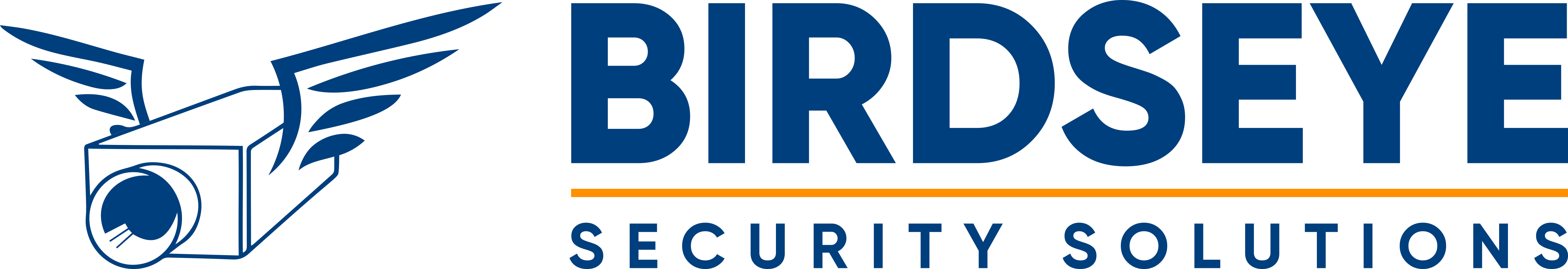 Birdseye Security Solutions